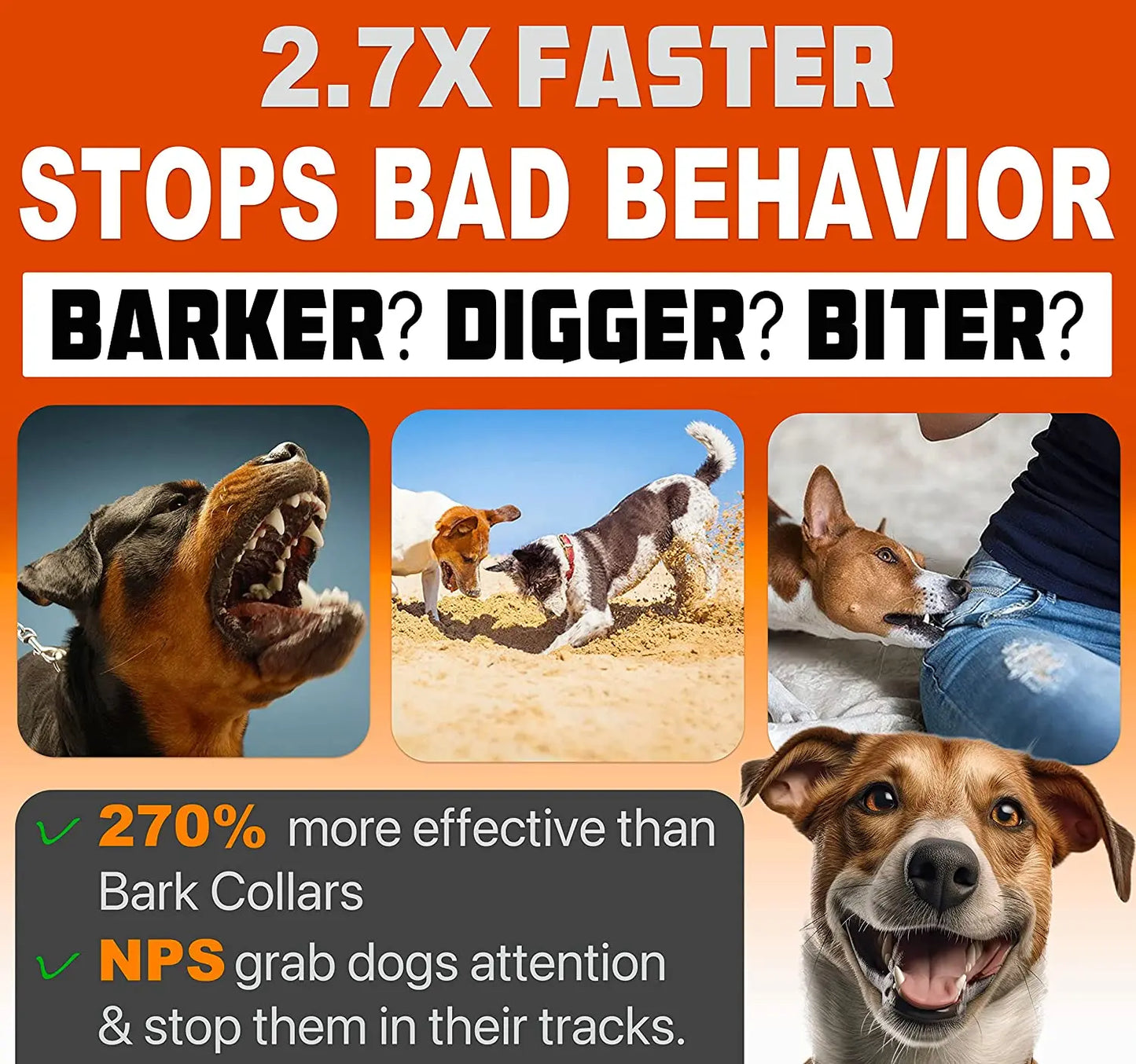 Anti-Barking Dog Training Device