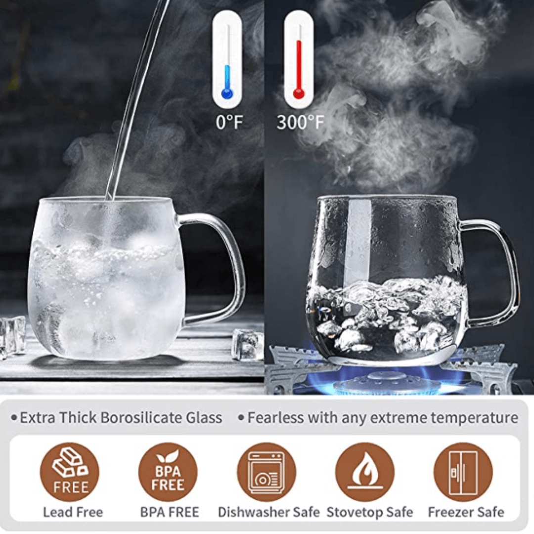 Glass Tea Cup With Infuser And Lid